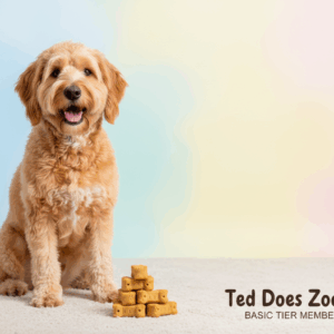 Zoomies Club – Basic